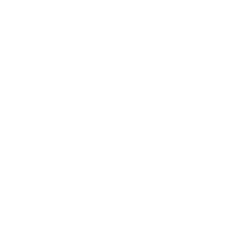 Konectica